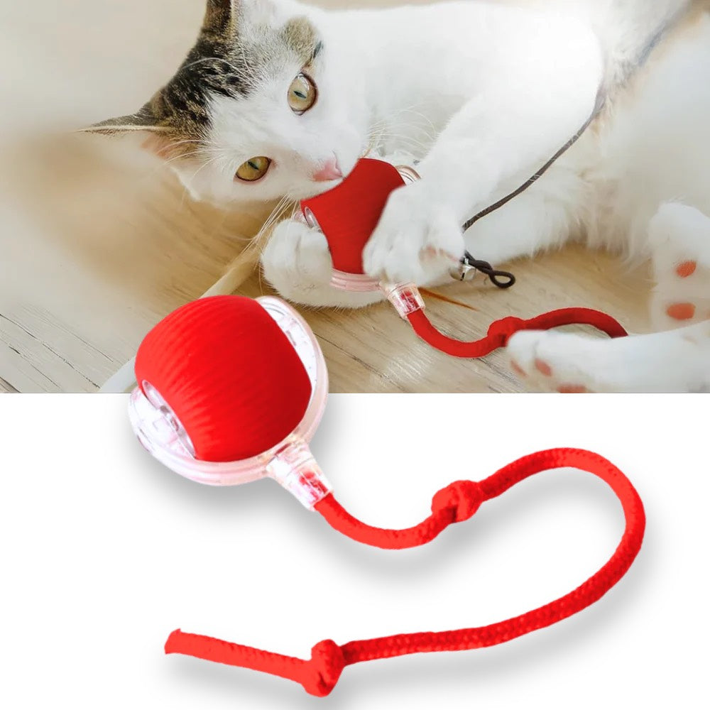 Cat Interactive Ball Toy