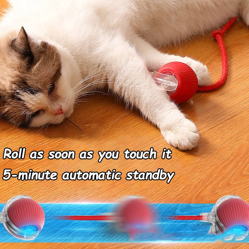 Cat Interactive Ball Toy